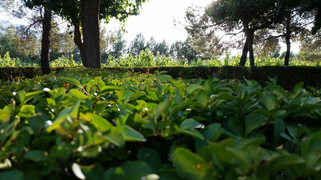 Campsite Montsant Park &